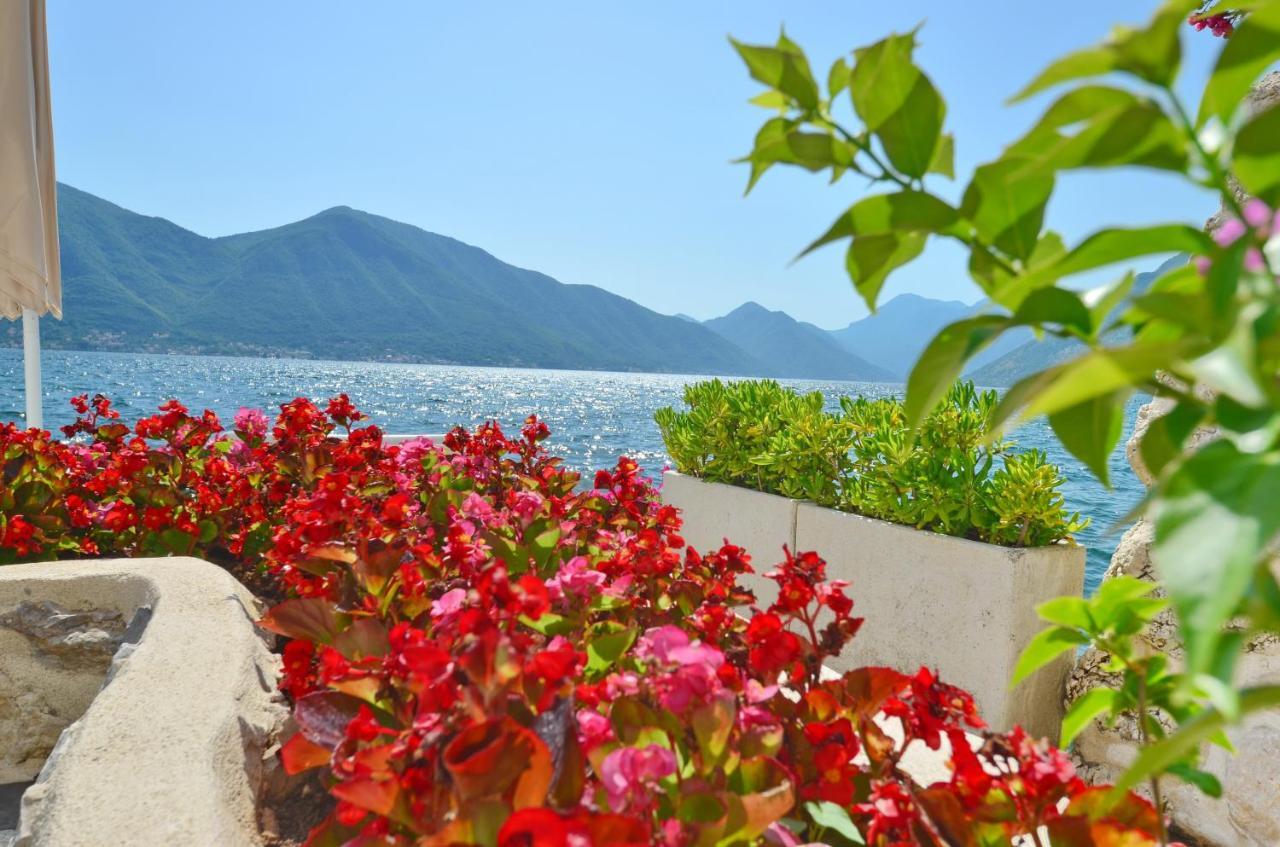 Tau Mir I Dobro Apartamento Kotor Exterior foto